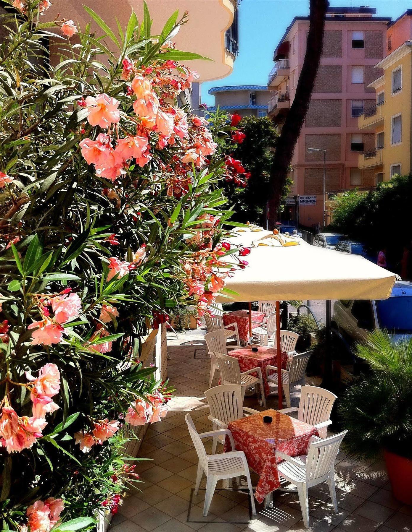 Hotel Piccinelli ريميني المظهر الخارجي الصورة